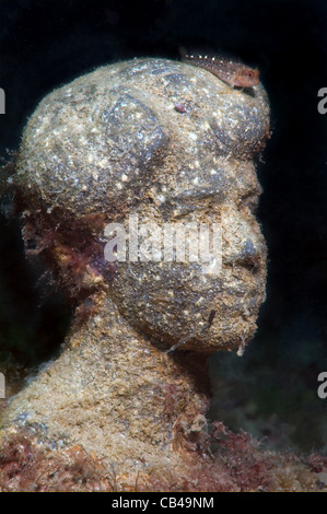 La scultura Sergei Alexandrovich Yeseninto prima nel mondo museo subacqueo leader dell' Alley o Atlantis sovietica Foto Stock