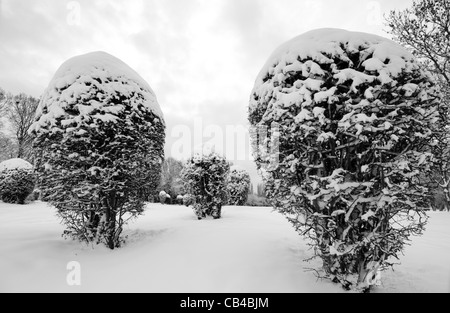 La neve copre un arbusti su un campo da golf Foto Stock