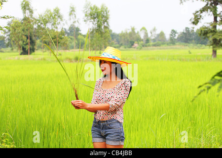 Donna che mantiene una pianta di riso in Thailandia. Foto Stock