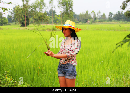 Donna che mantiene una pianta di riso in Thailandia. Foto Stock