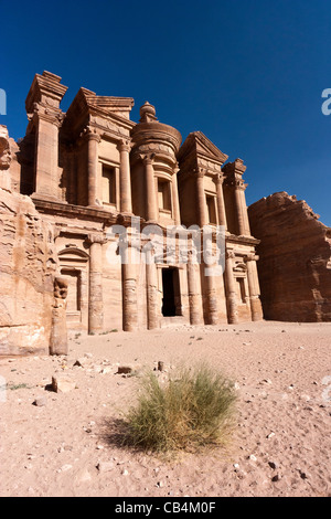 Un piccolo impianto di deserto si siede di fronte all'imponente Deir / monastero nelle montagne del deserto dell'antica città di Petra Foto Stock