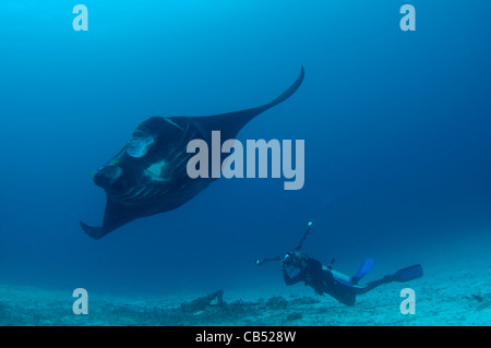 Un fotografo scatta una manta ray, Manta birostris, Manta Sandy, Dampier Strait Raja Ampat, Papua occidentale, in Indonesia, Pacific Ocea Foto Stock