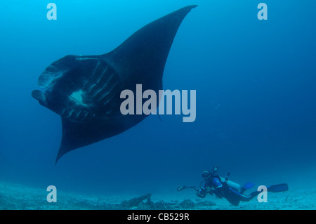 Un fotografo scatta una manta ray, Manta birostris, Manta Sandy, Dampier Strait Raja Ampat, Papua occidentale, in Indonesia, Pacific Foto Stock