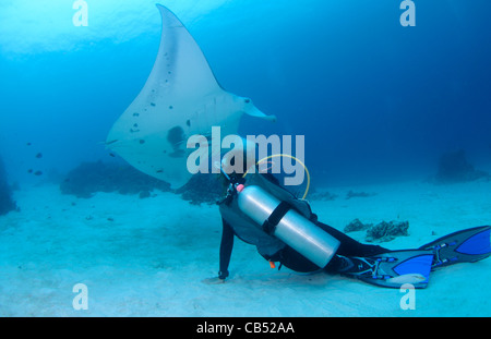 Un fotografo scatta una manta ray, Manta birostris, Manta Sandy, Dampier Strait Raja Ampat, Papua occidentale, in Indonesia, Pacific Ocea Foto Stock