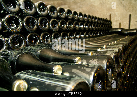 Bottiglie di Champagne fermentare nelle cantine di Champagne Taittinger a Reims Francia Foto Stock