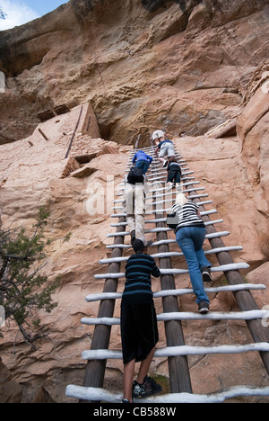 Gli ospiti scaletta di arrampicata balcone Tour Casa Mesa Verde National Park Colorado USA Foto Stock