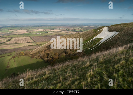 Il Westbury White Horse Foto Stock