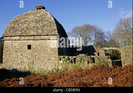 Una vista del XVII secolo a colombaia Penmon sull'Isola di Anglesey, Galles del Nord. Foto Stock