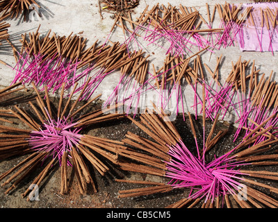 Colorato bastoncini di incenso visualizzato in un negozio di Hue, Vietnam Foto Stock