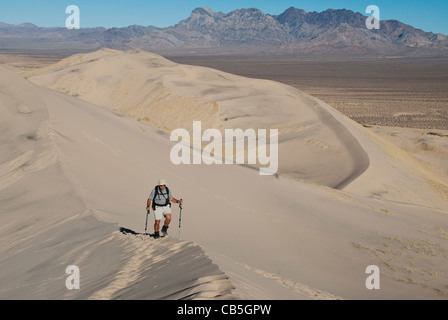 Mike Vining escursioni sulle dune a Kelso Mojave National Preserve California USA Foto Stock