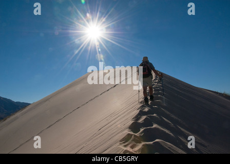 Mike Vining escursioni sulle dune a Kelso Mojave National Preserve California USA Foto Stock