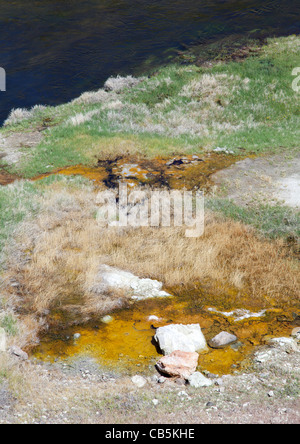 Geotermica hot spring pool a caldo Creek, CA. Foto Stock