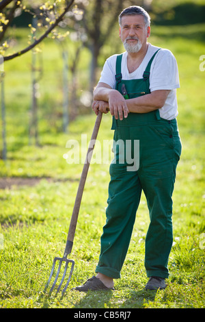 Ritratto di un uomo anziano giardinaggio nel suo giardino (toni di colore immagine) Foto Stock