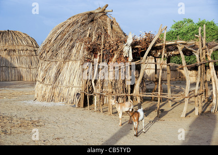 Africa, Etiopia, Valle dell'Omo, la tribù Arbore una capanna di paglia Foto Stock