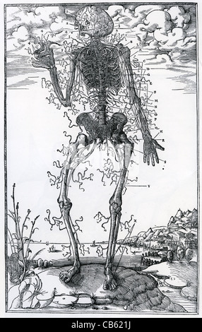 CHARLES ESTIENNE (1504-1564) anatomista francese. Illustrazione da De dissectione partium corporis humani pubblicato nel 1545 Foto Stock