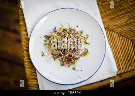 Semplice insalata realizzata in Cina è salito il Ravanello la germogliazione di semi, conditi con salsa di soia e aceto di riso. Foto Stock