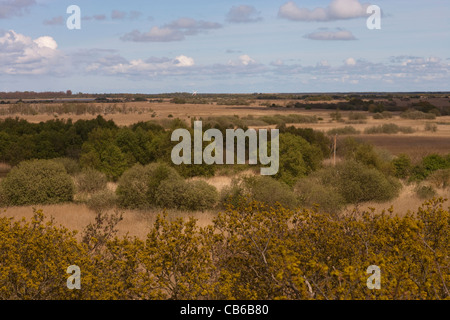 Hickling Broad, Norfolk. Guardando verso Waxham e Horsey da Norfolk Wildlife Trust dell'Osservazione della torre ad albero. Foto Stock
