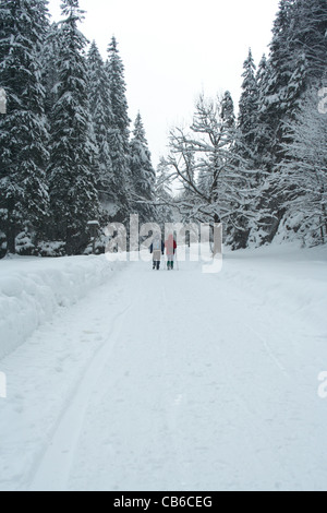 Lonely walkers sul percorso invernale attraverso la foresta Foto Stock