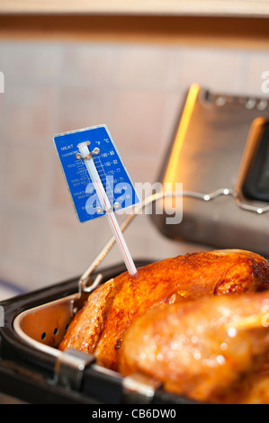 La Turchia pollame arrosto di carne con termometro per misurare la temperatura in rendimento di grazie Foto Stock