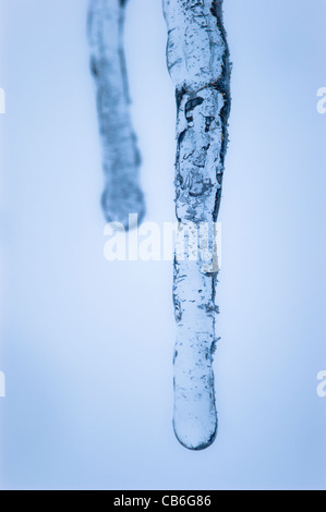 Un close-up di 2 piccoli ghiaccioli. Foto Stock