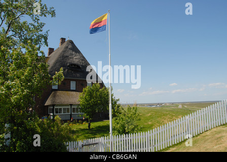 Frisone bandiera in pole davanti a Kirchwarft, i giardini della chiesa, sul Nord Frisone isola di Hallig Hooge, Germania Foto Stock