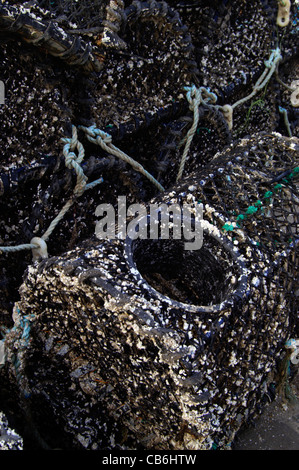 Close-up di Lobster Pot prese a Brixham harbour Torbay Devon England Foto Stock
