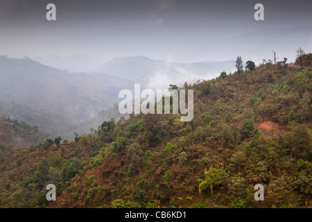 India, Nagaland, Tuophema, la mattina presto il cloud nella boscosa valle Foto Stock