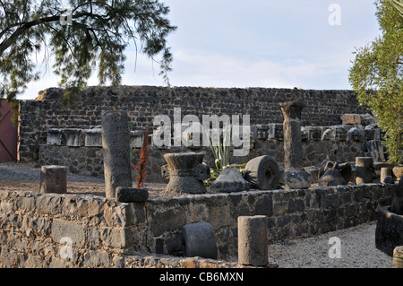Rovine di Cafarnao,Galilea, Israele,Asia, Medio Oriente Foto Stock