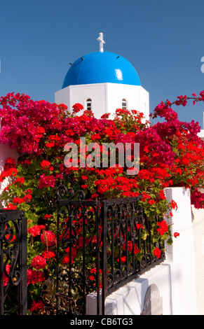 Blu chiesa a cupola di fiori nella parte anteriore, Fira (Thira), Santorini, Grecia Foto Stock