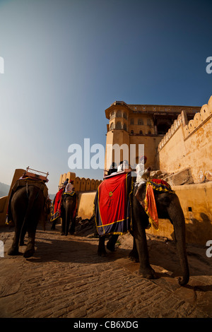 Amber fort jaipur colorato monumento Mughal Foto Stock