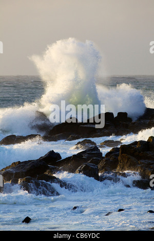 Mare mosso off Porthmeor beach in sera sun, St Ives, Cornwall, Southwest England, UK, Regno Unito, GB Gran Bretagna Foto Stock