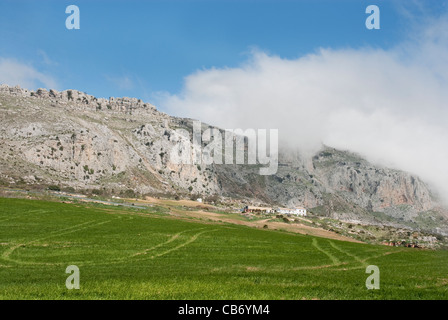 Vista di sud volto di El Torcal de Antequera parco naturale. Provincia di Malaga, Andalusia. Foto Stock