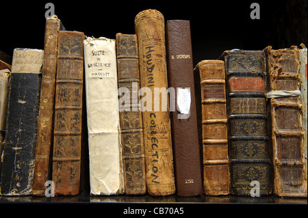 Vecchi libri sullo scaffale Foto Stock