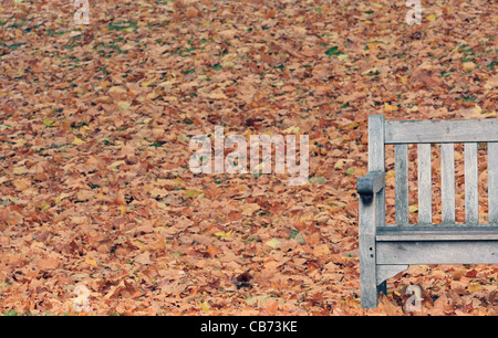 Parte di un vuoto di panca in legno tra le foglie cadute in un parco su una noiosa giornata d'autunno Foto Stock