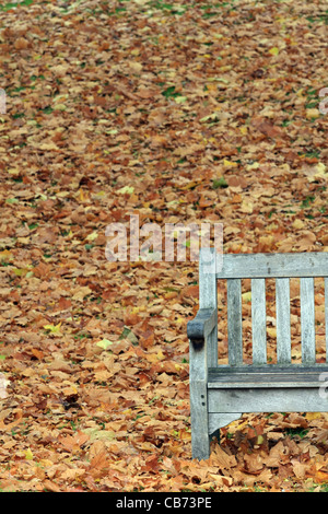 Parte di un vuoto di panca in legno tra le foglie cadute in un parco su una noiosa giornata d'autunno Foto Stock