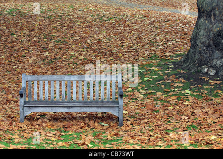 Parte di un vuoto di panca in legno tra le foglie cadute in un parco su una noiosa giornata d'autunno Foto Stock