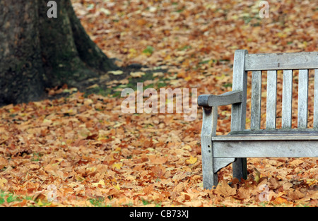Parte di un vuoto di panca in legno tra le foglie cadute in un parco su una noiosa giornata d'autunno Foto Stock