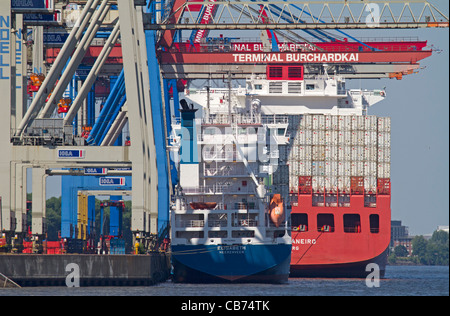 Container al porto di Amburgo, Germania Foto Stock