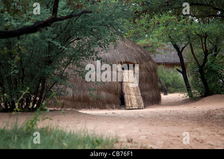 Boscimani tradizionale / San rifugio nel deserto del Kalahari vicino a Ghanzi, Botswana, Africa Foto Stock