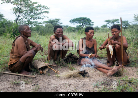 I Boscimani / San radici di cottura sul fuoco a mano nel deserto del Kalahari vicino a Ghanzi, Botswana, Africa Foto Stock