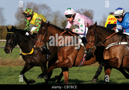 Ciclista nella foto durante il punto-punto horse racing event su salti Foto Stock