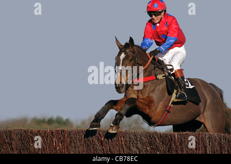 Ciclista nella foto durante il punto-punto horse racing event su salti Foto Stock