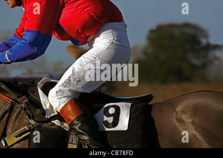 Ciclista nella foto durante il punto-punto horse racing event su salti Foto Stock