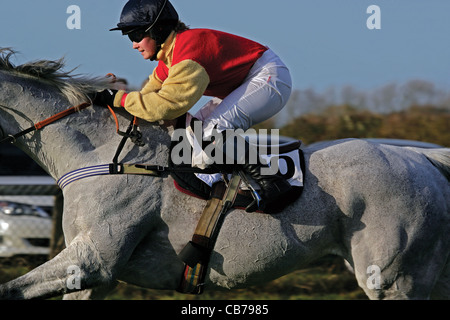 Ciclista nella foto durante il punto-punto horse racing event su salti Foto Stock
