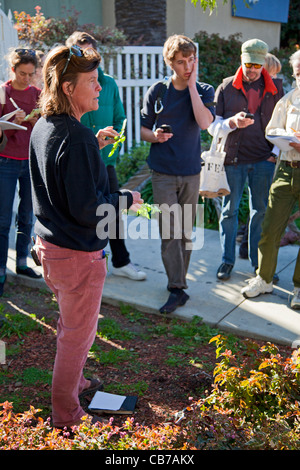 Rovistando per commestibili selvatici in Los Angeles quartiere parco eco. Foto Stock