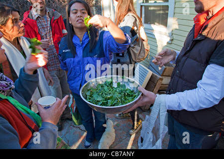 Rovistando per commestibili selvatici in Los Angeles quartiere parco eco. Foto Stock