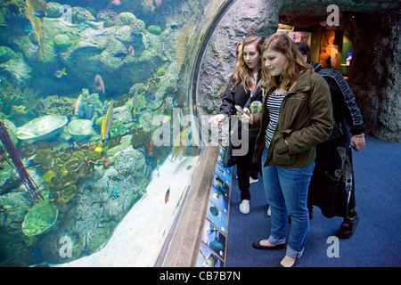 Dietro le quinte dell'Acquario del Pacifico. Le materie plastiche sono per sempre il Vertice della gioventù - 11 Marzo 2011 Foto Stock