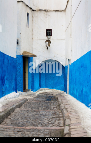 Le immagini del viaggio dal Marocco, principalmente a Marrakech, Essaouira e Rabat. Foto Stock