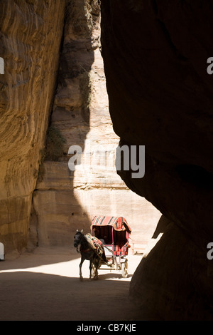 Trotto Cavallo traina il carrello turistiche & turisti attraverso il Siq (naturale gola) presso la città perduta di Petra. La Giordania. Foto Stock