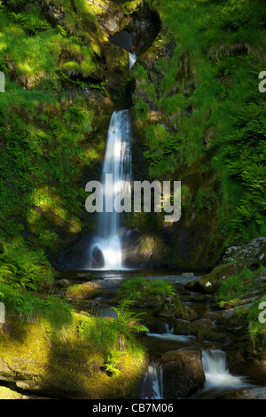 Pistyll Rhaeadr cascata vicino Llanrhaeadr-ym-Mochnant, early morning light in giugno, POWYS, GALLES Cymru, UK, Regno Unito GB Foto Stock